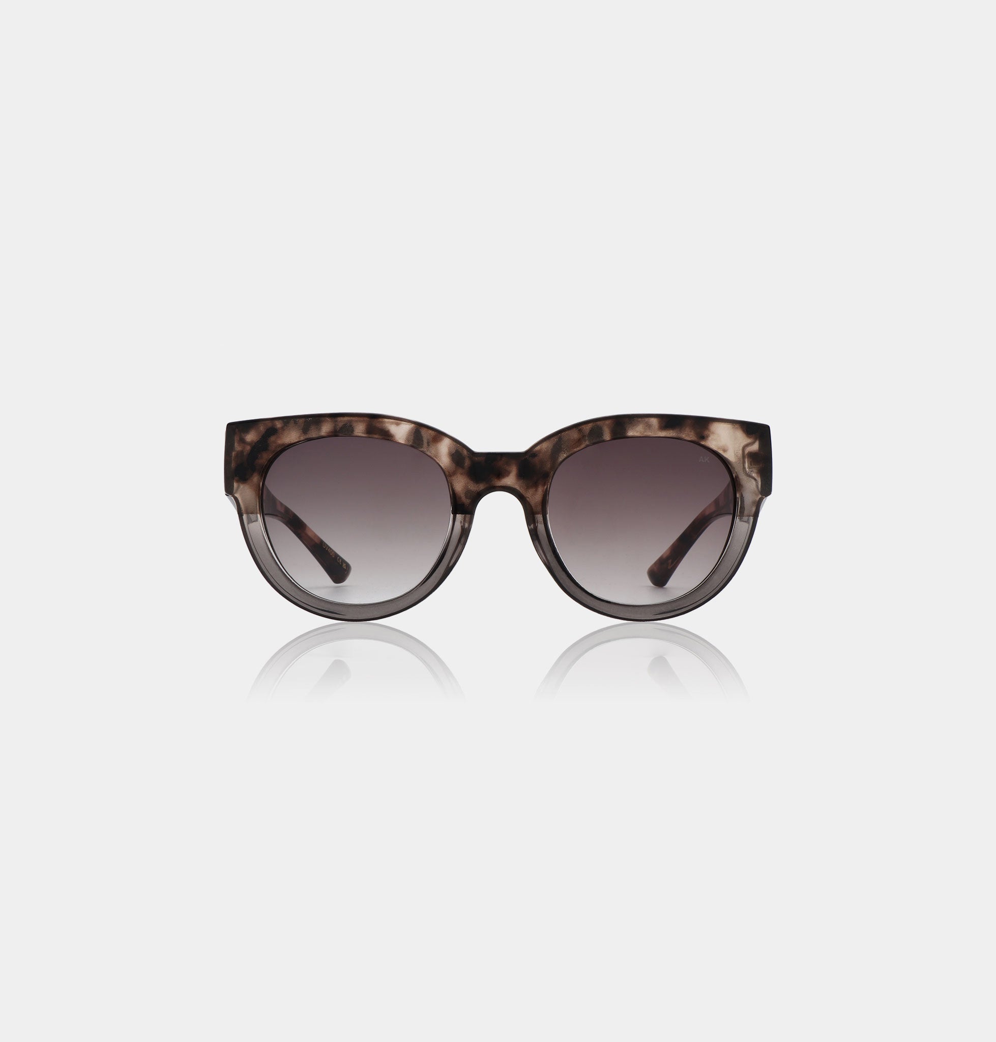 Lilly - Coquina